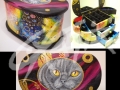 gatto-grigio